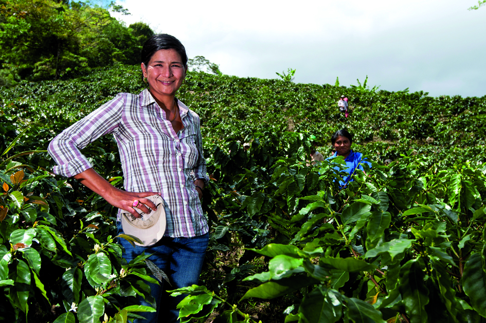 Ein Kleinbäuerin in ihrem Feld Ein Kleinbäuerin in ihrem Feld