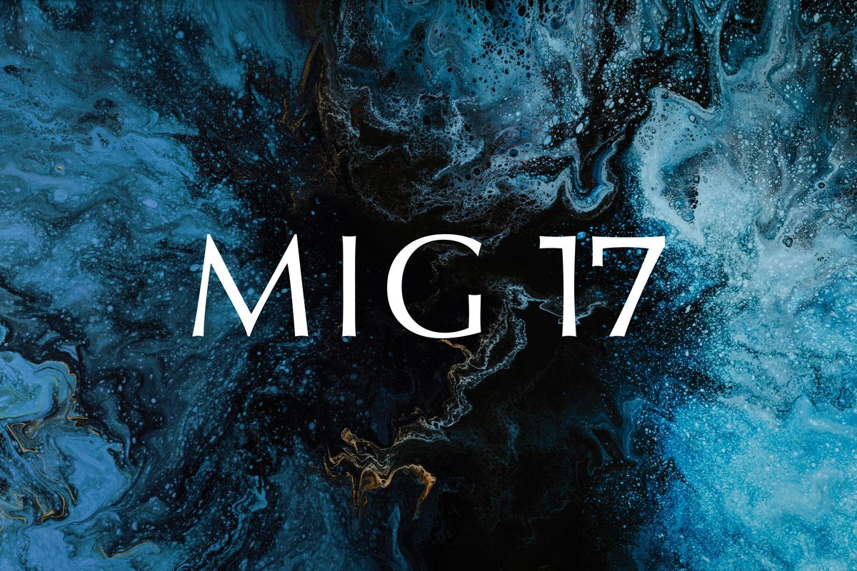Beitrittserklärung MIG17
